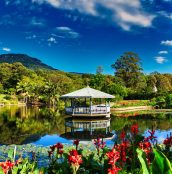 51617436679_e2b9fbdc49_b