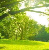 Elegant Summer Fashion Blog Banner Beige (8)