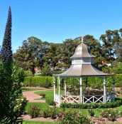 Rose-Garden-Wollongong-Botanic-Garden-credit-Wollongong-Botanic-Garden